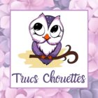 Logo Trucs Chouettes
